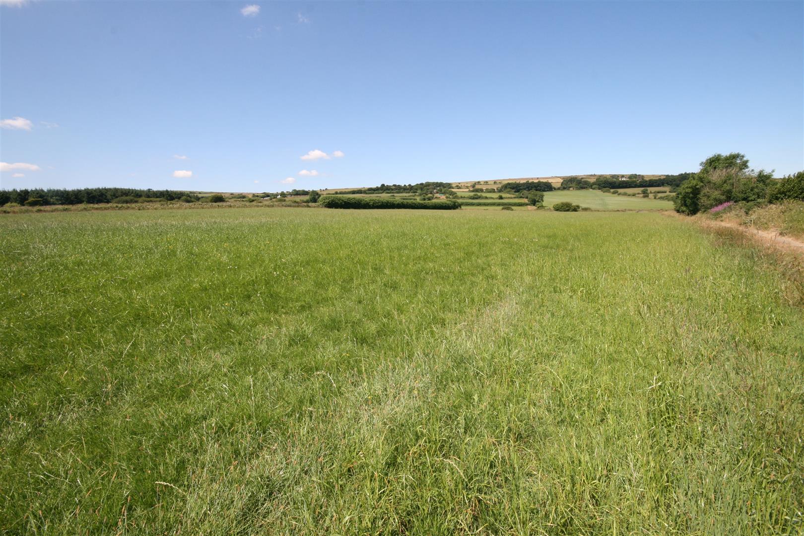 THE LAND